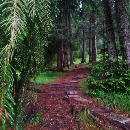 פארק נופש Orlino